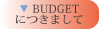 BUDGET（ご予算）につきまして
